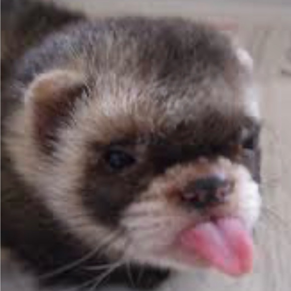 ENJOY YOUR WEEKEND EVERYONE! Happy Poshing 😊😊😊🛍️🛍️🛍️🥂🥂🥂 - Picture 3 of 6